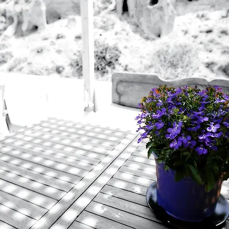 Peaceful Seafront Retreat In Santorini -Sonus Mare Beach Houses Apartment Vourvoulos