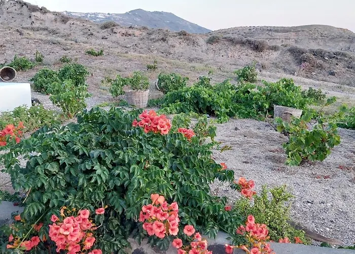 α Peaceful Seafront Escape In Santorini- Sonus Mare Villa