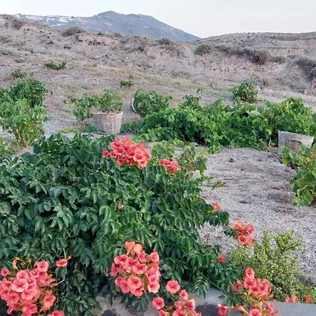 α Peaceful Seafront Escape In Santorini- Sonus Mare וילה